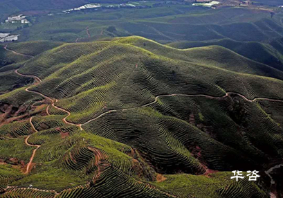 湖南永州藍(lán)山公路項(xiàng)目水土保持方案（水保）順利通過專家評(píng)議