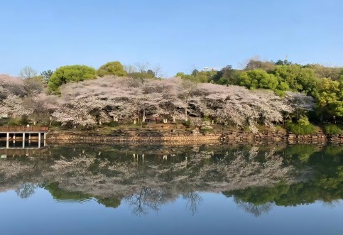 江西省專業(yè)交通技術(shù)服務(wù)公司_華咨航評和交評的核心優(yōu)勢有哪些？